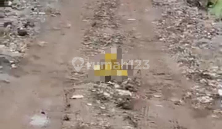 Tanah Jual Lokasi Seseh