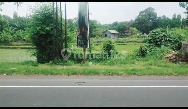 Tanah Jual Lokasi Medahan