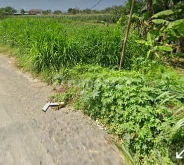 Tanah Jual Lokasi Padang Galak