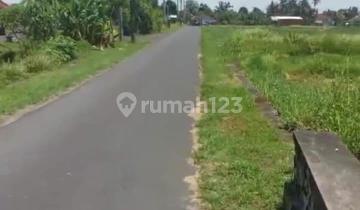 Tanah Jual Lokasi Kedungu