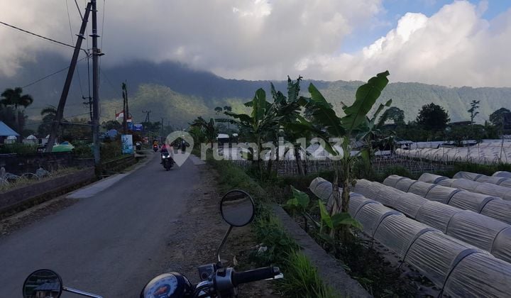 Land for sale Bedugul location