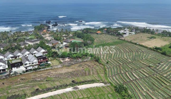 Tanah Jual Lokasi Cemagi