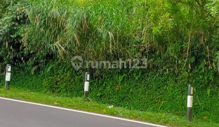 Tanah Jual Lokasi Pancasari