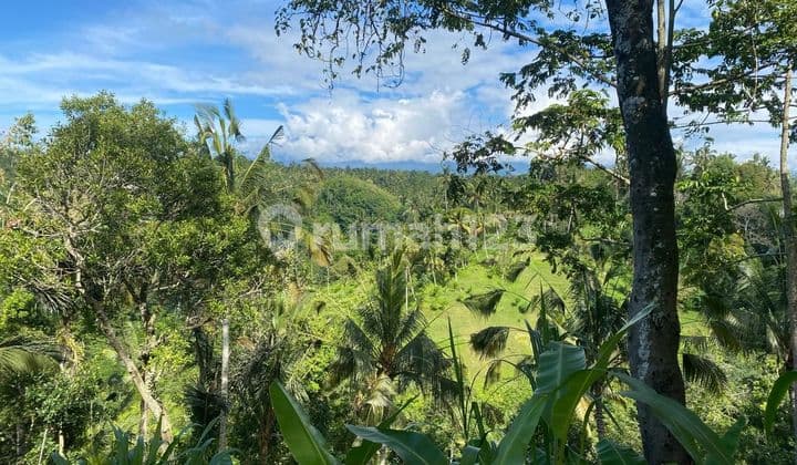 Tanah Jual Lokasi Buahan