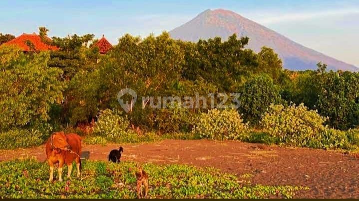Tanah Jual Lokasi Abang