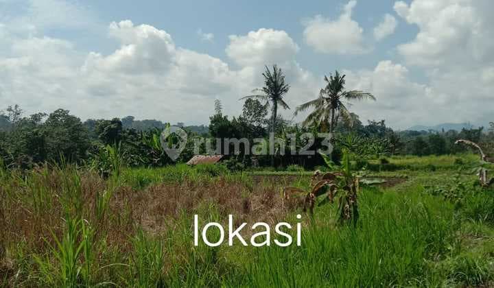 Land for Sale Located in Samplangan