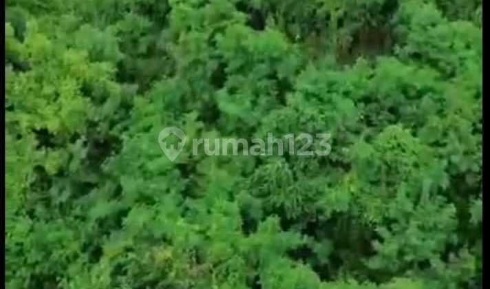 Land for Sale in Selukat Location