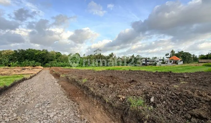 Land for Sale in Nyanyi Location