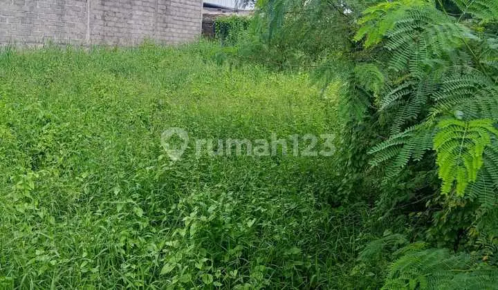 Land for Sale in Cepaka Location