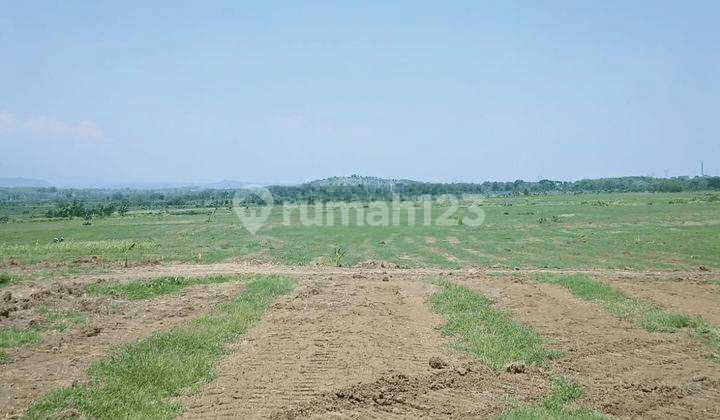 Lahan 82.6Ha, HGB, Tanggungharjo, Grobogan, Jateng(J.yn.123)