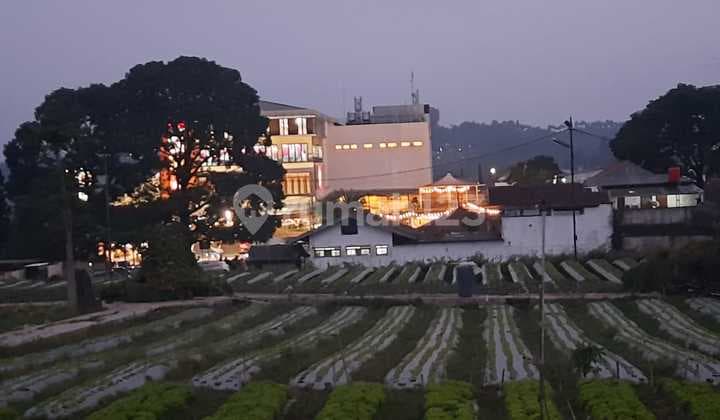 Dijual Tanah Matang Siap Bangun di Mainroad Lembang