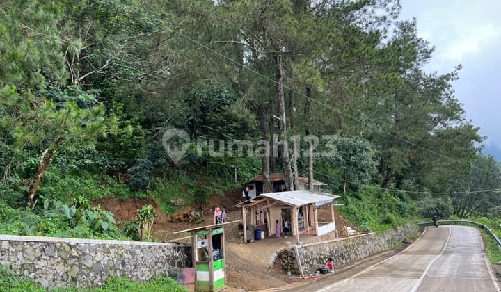 Tanah Catang Malang Jonggol Hadap Lembah cocok untuk Villa Liburan