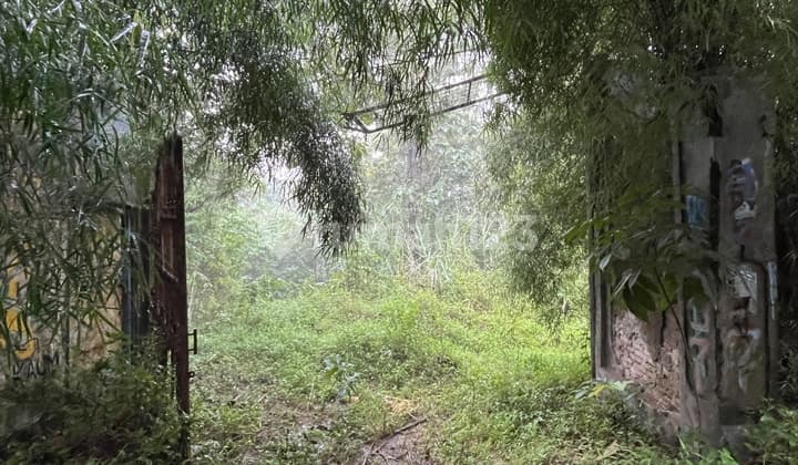 Tanah Cijurey Jonggol Jawa Barat cocok untuk Perkebunan dan Pertanian