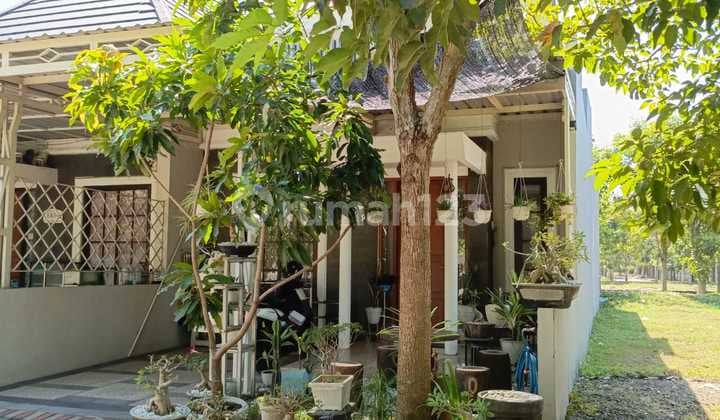 Dijual Rumah Full Furnish Safira Garden Sidoarjo
