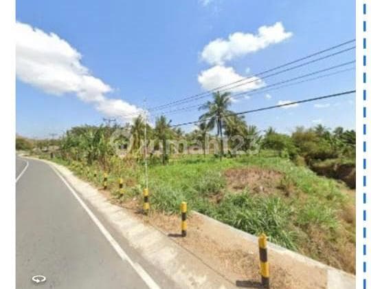 Dijual Tanah Nol Jalan Raya Sengkol Lombok