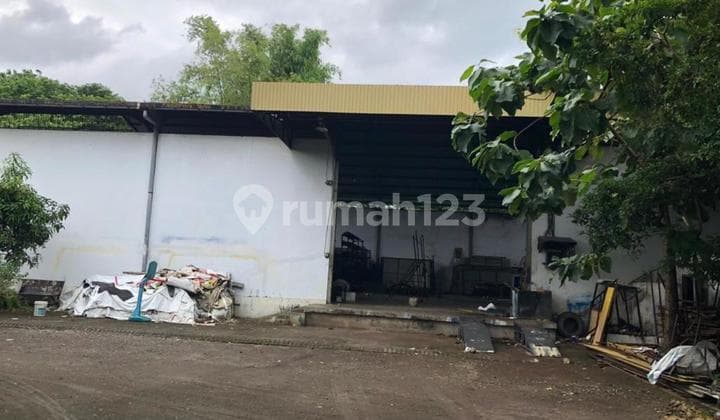 Dijual Murah Tanah Bonus Bangunan Semambung Juanda