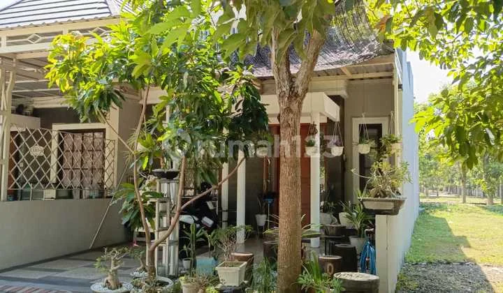 For Sale Safira Garden Cluster House Sidoarjo