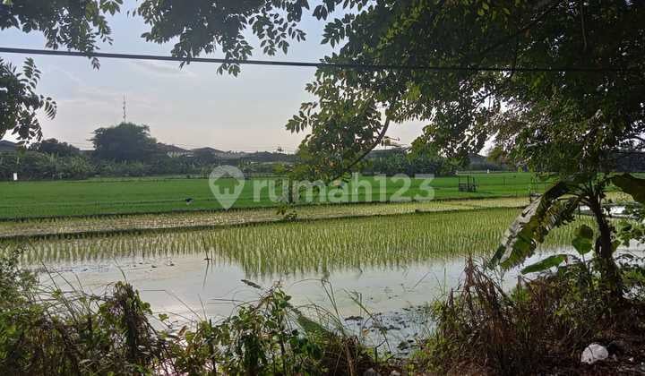 Dijual Tanah Nol Jalan Raya Lingkar Timur