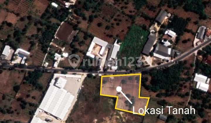 Dijual Tanah Nol Jalan Raya Daendles Wedung Brondong Lamongan