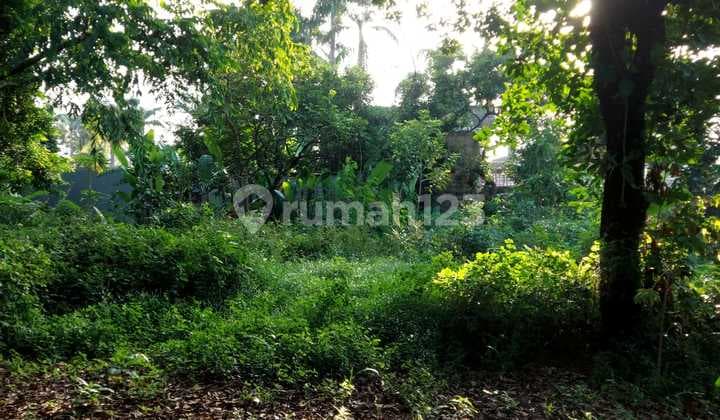 Dijual Cepat Tanah Untuk Pembuatan Cluster di Jatibening Bekasi