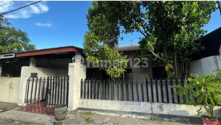 Rent Mars House Kutisari 1.5 Floors