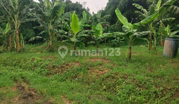 Jual Cepat Pabrik di Legok Tangerang Banten Pinggir Jalan Raya Area Industri di Legok Raya, Legok