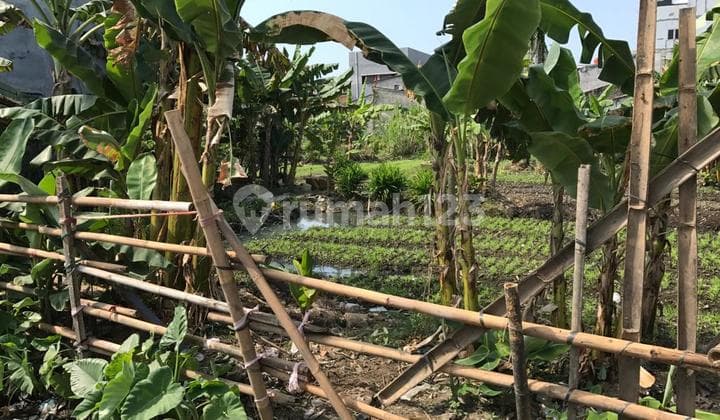 Dijual Tanah Di Kebon Jahe Kapuk.jakbar