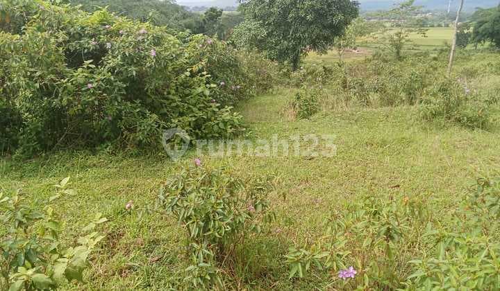 Tanah Strategis Dan View Bagus Dijual Di Jonggol Jawa Barat