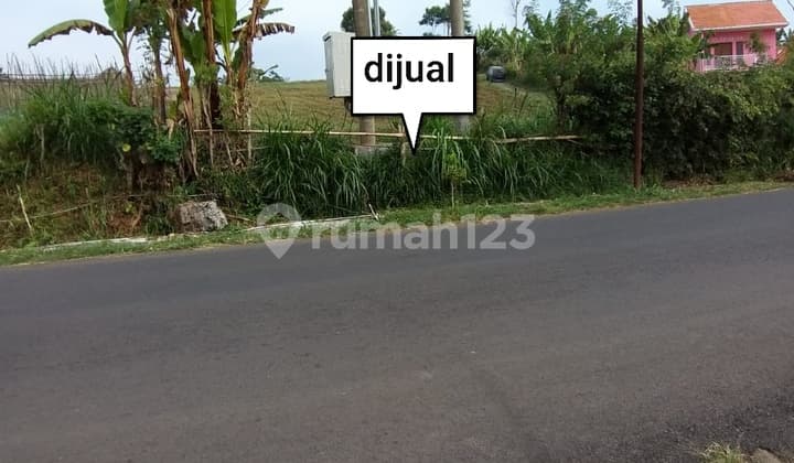 Tanah Di Desa Gendro Nongkojajar,Pasuruan