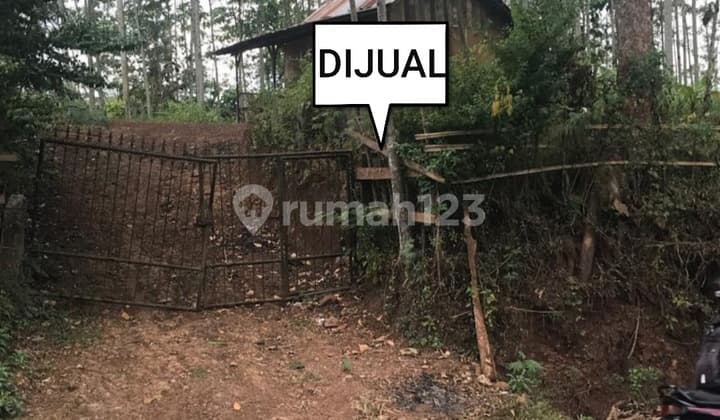 Tanah Di Binakal Bondowoso