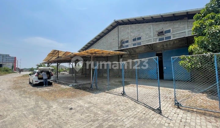 Investasi Gudang Cikande - Lokasi Berkembang, Bangunan 1.700 M²