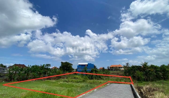 Dijual tanah view sawah lokasi jalan pantai nyanyi