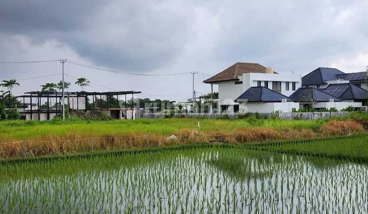 Land for Sale Location Berawa Tibubeneng North Kuta Badung