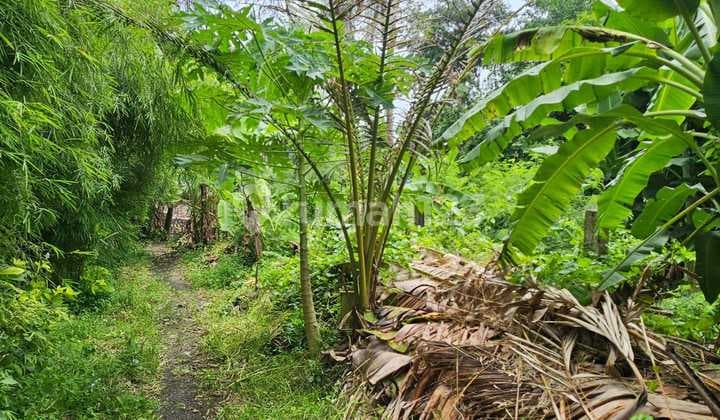 Dijual Tanah Komersil View Sungai Lokasi Umalas Kerobokan