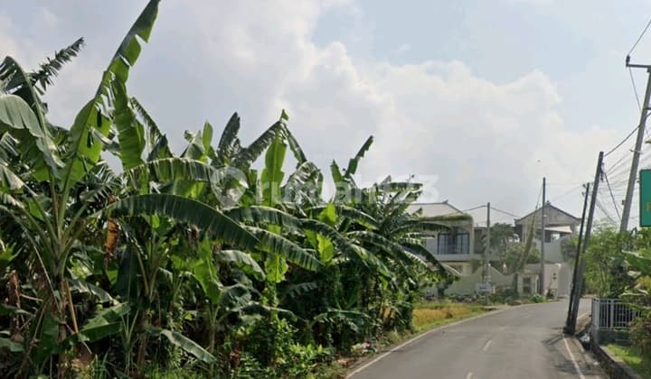 Dijual Tanah Lokasi Jalan Subak Daksina Babakan Canggu Kuta Utara