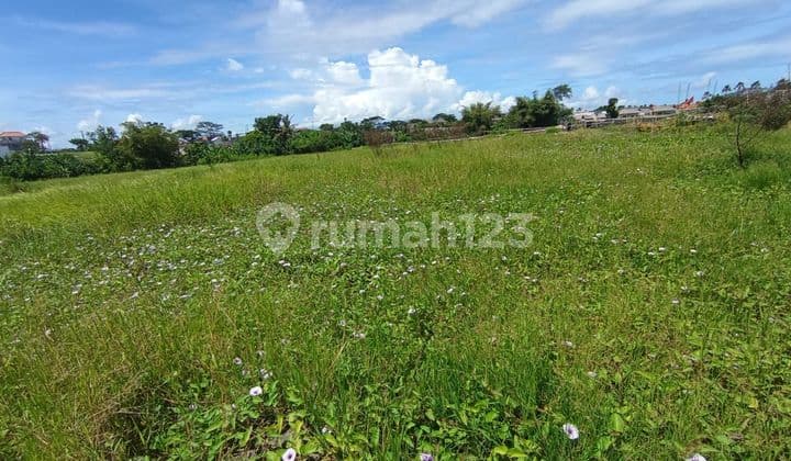 Dijual Tanah Lokasi Seseh Munggu Mengwi Badung Bali