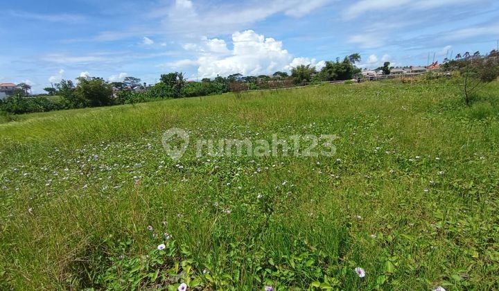 Dijual Tanah Lokasi Seseh Munggu Mengwi Badung Bali