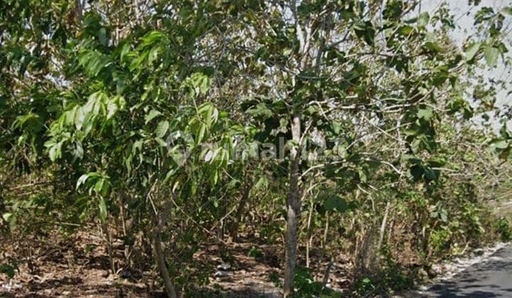 Dijual tanah lokasi pecatu kuta selatan badung bali