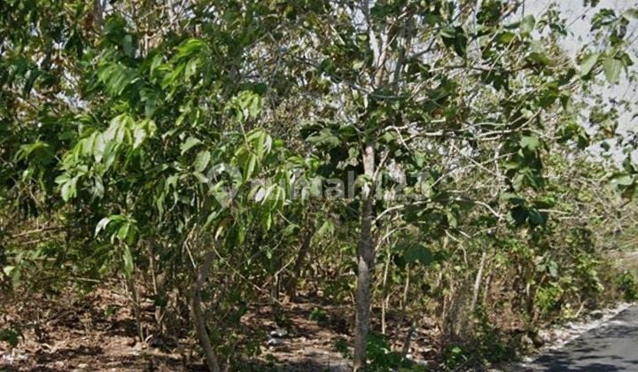 Land for sale in Pecatu, South Kuta, Badung, Bali