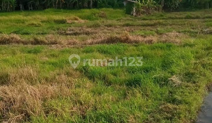Dijual tanah lokasi kuwum krobokan kuta utara