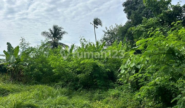 Dijual tanah lokasi nyanyi beraban kediri tabanan