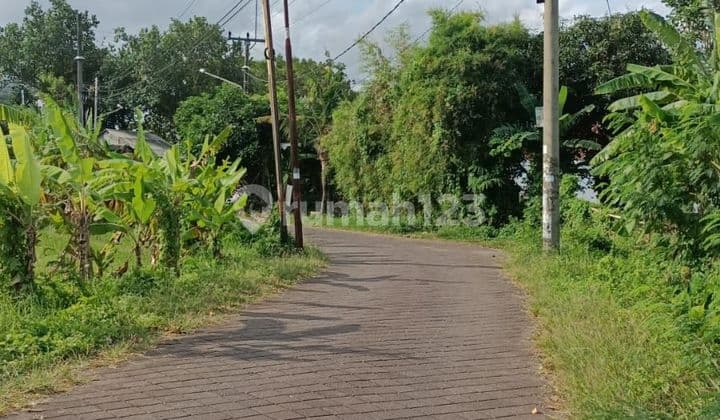 Dijual tanah lokasi pererenan mengwi badung