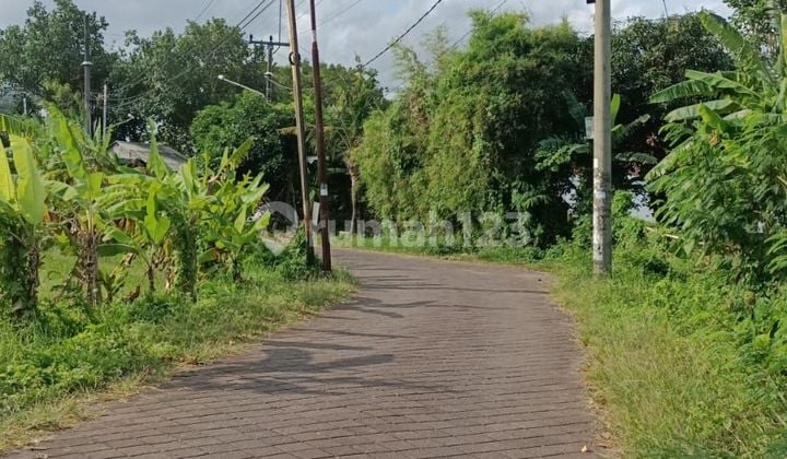 Mengwi Badung land for sale