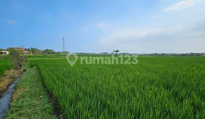 Dijual tanah view dan gunung pantai lokasi kelating