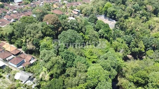 Disewakan tanah los sungai lokasi buwit tabanan bali