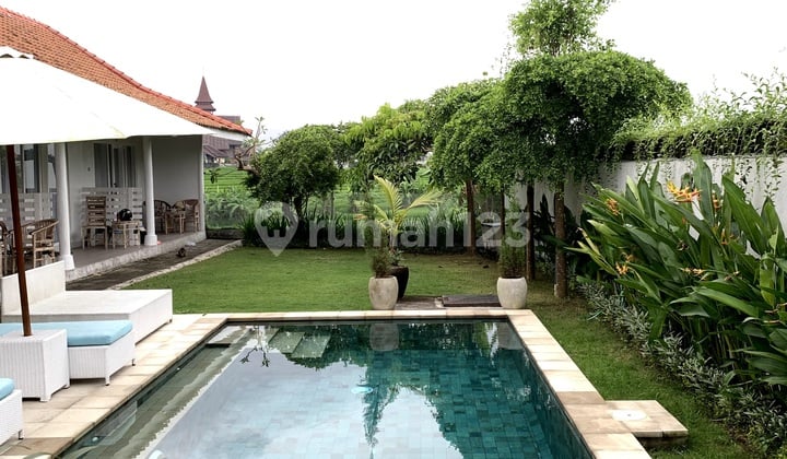 For Sale Guesthouse Location Subak Daksina Babakan Canggu
