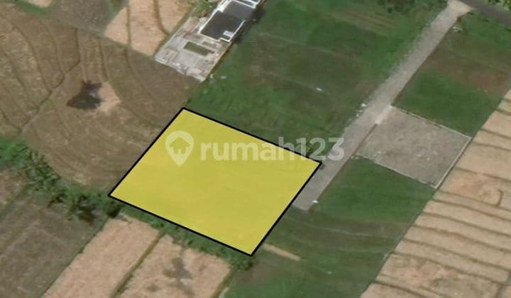 Dijual tanah View Sawah lokasi nyanyi tabanan bali