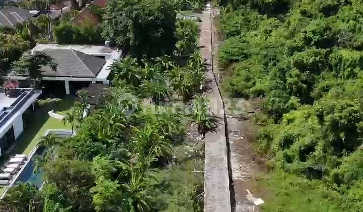 Disewakan Tanah Lokasi Seminyak Dekat Pantai