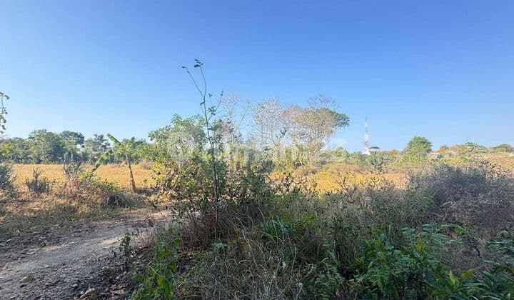Dijual tanah lokasi pandawa kutuh kuta selatan