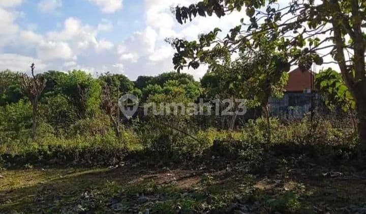 Dijual tanah dekat pantai lokasi balangan